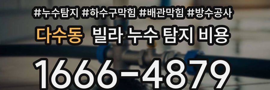 다수동 빌라 누수 탐지 비용