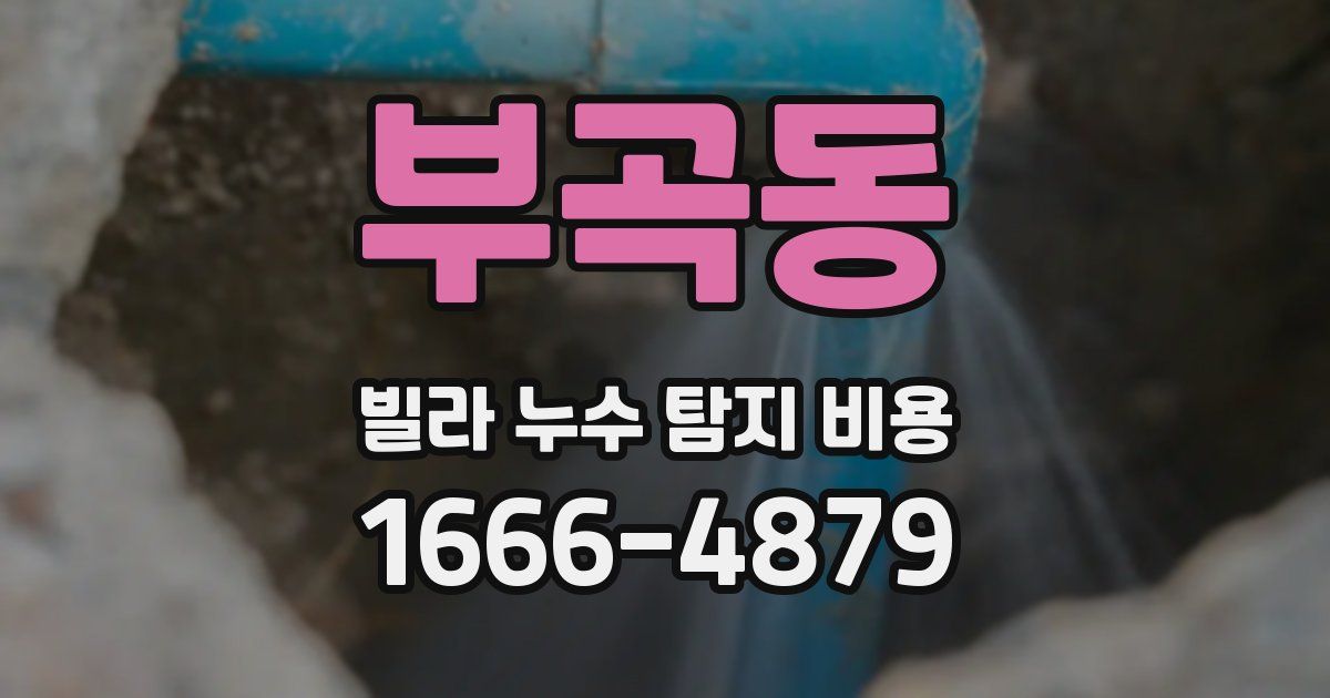 부곡동 빌라 누수 탐지 비용