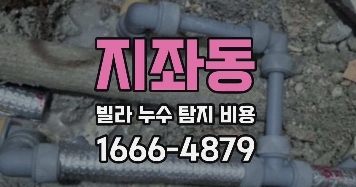 지좌동 빌라 누수 탐지 비용
