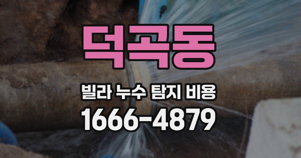 덕곡동 빌라 누수 탐지 비용
