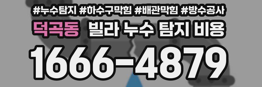 덕곡동 빌라 누수 탐지 비용