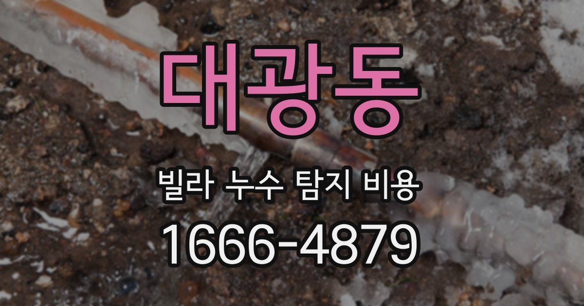 대광동 빌라 누수 탐지 비용