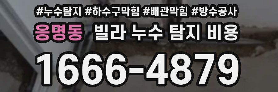 응명동 빌라 누수 탐지 비용