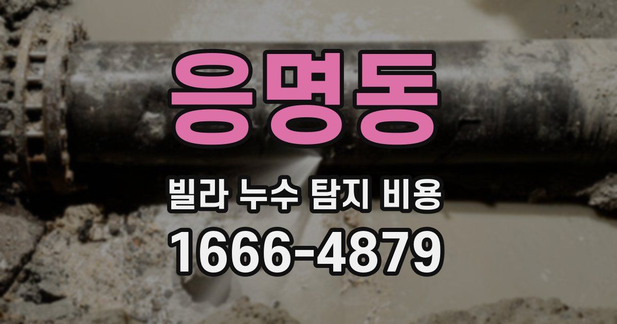 응명동 빌라 누수 탐지 비용