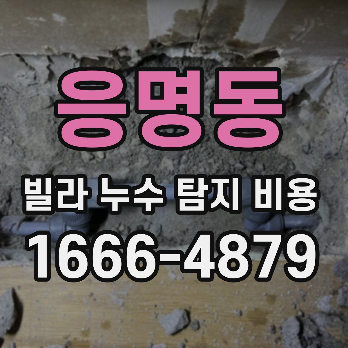 응명동 빌라 누수 탐지 비용