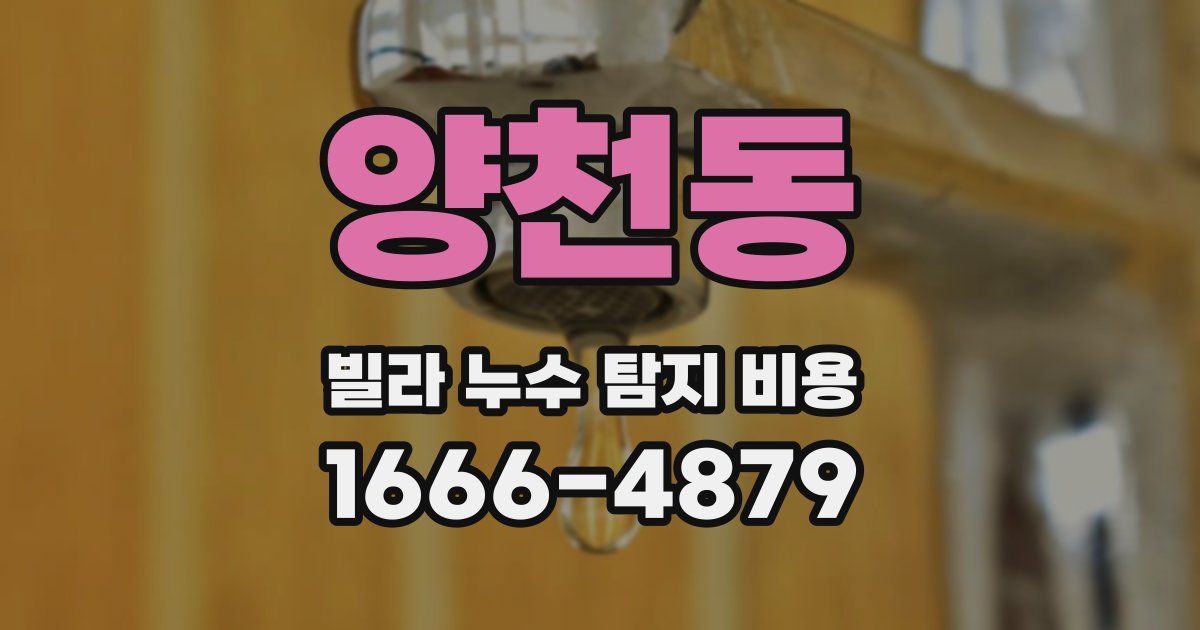 양천동 빌라 누수 탐지 비용
