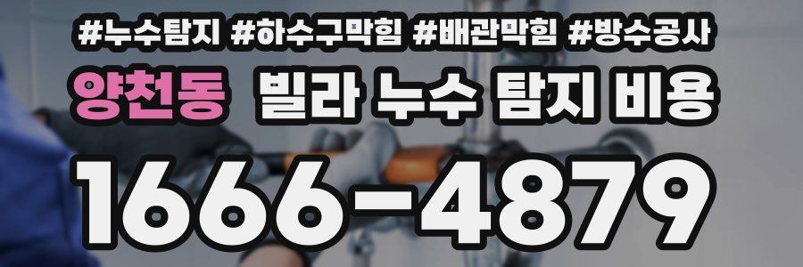 양천동 빌라 누수 탐지 비용