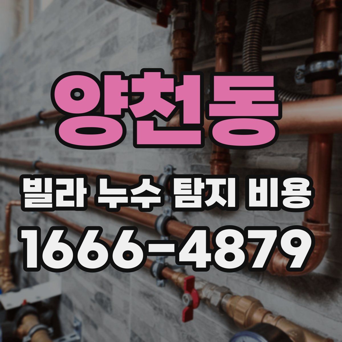 양천동 빌라 누수 탐지 비용