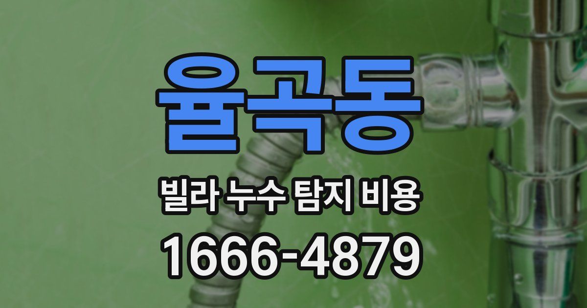 율곡동 빌라 누수 탐지 비용