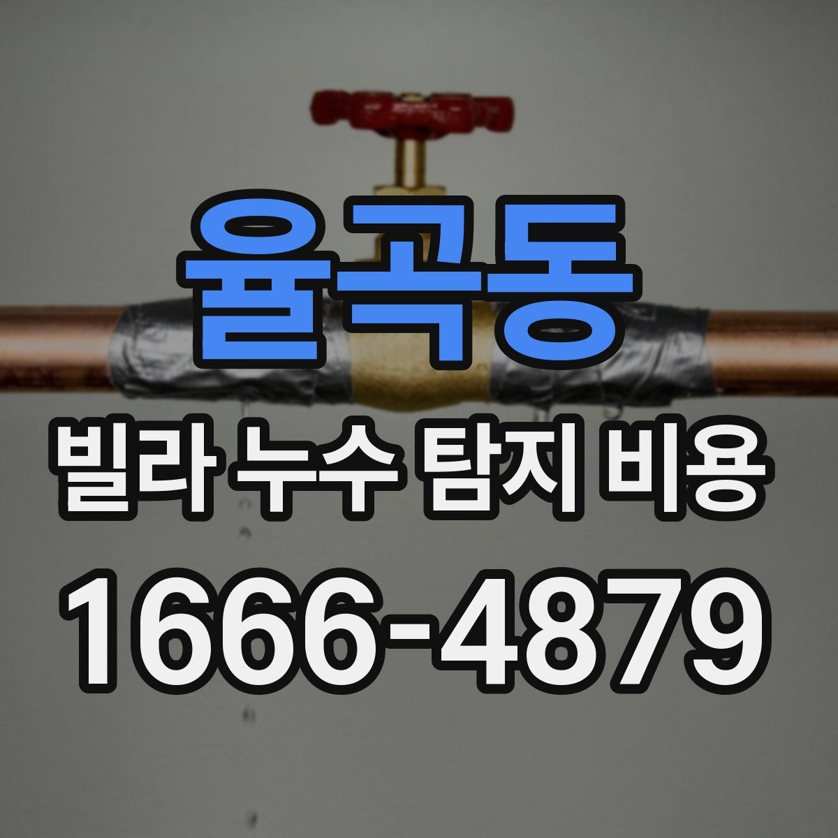율곡동 빌라 누수 탐지 비용