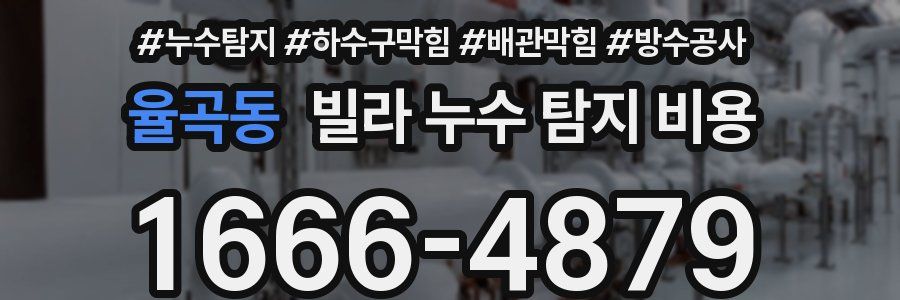 율곡동 빌라 누수 탐지 비용
