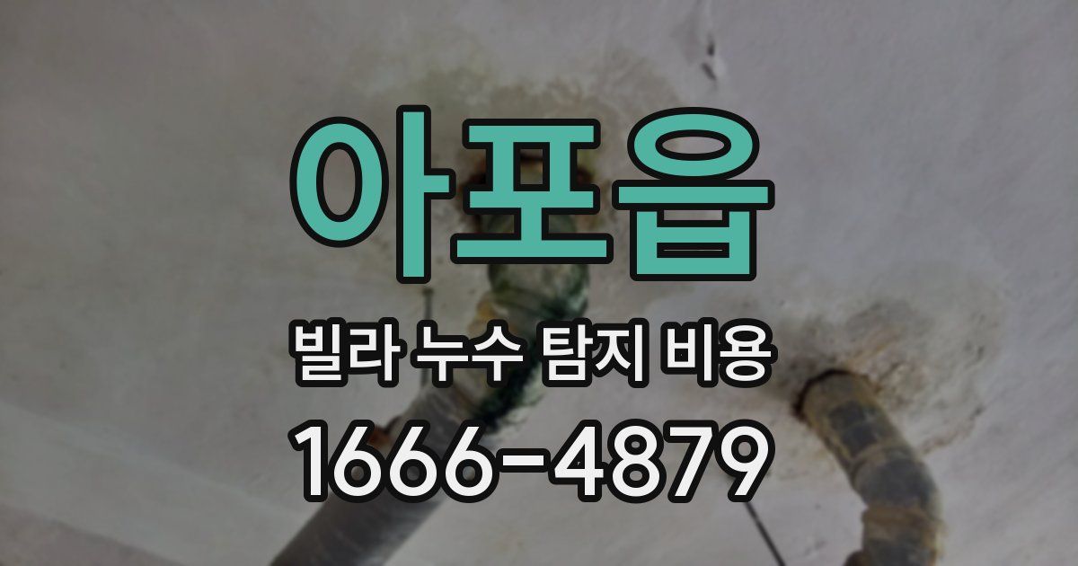 아포읍 빌라 누수 탐지 비용
