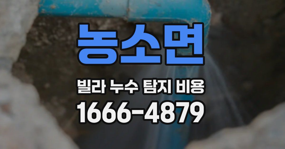 농소면 빌라 누수 탐지 비용
