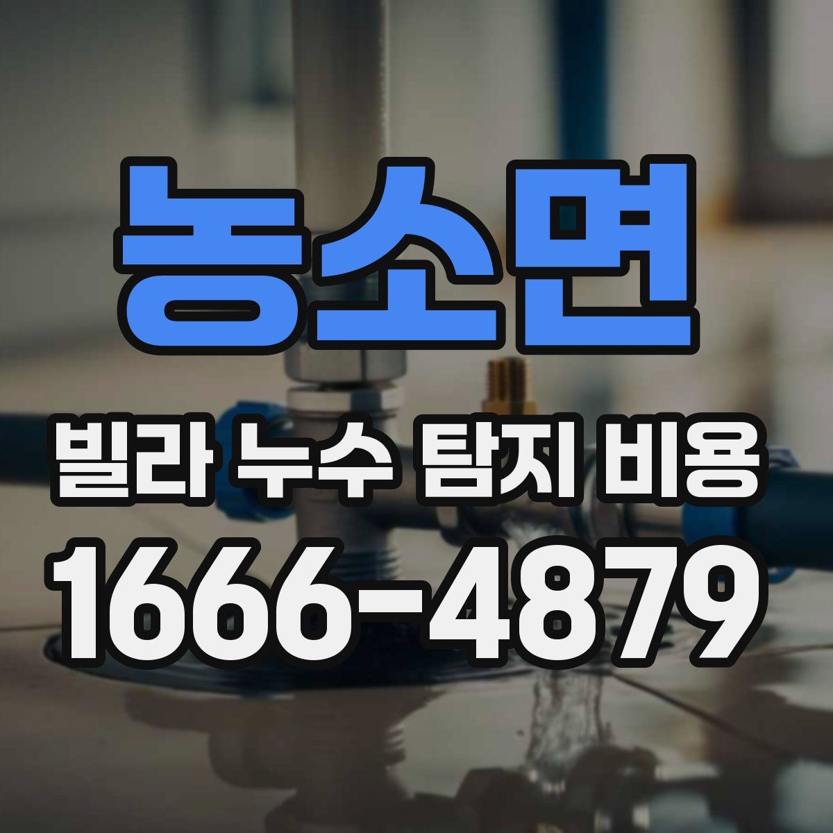 농소면 빌라 누수 탐지 비용