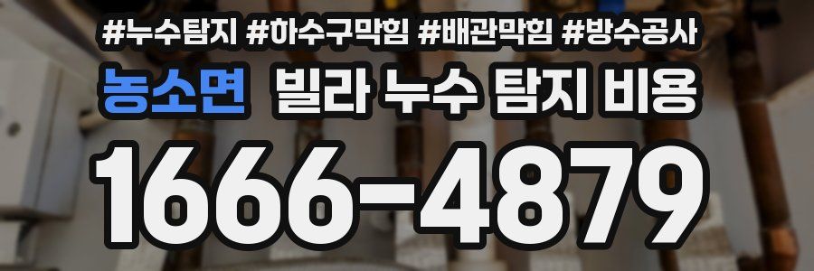 농소면 빌라 누수 탐지 비용