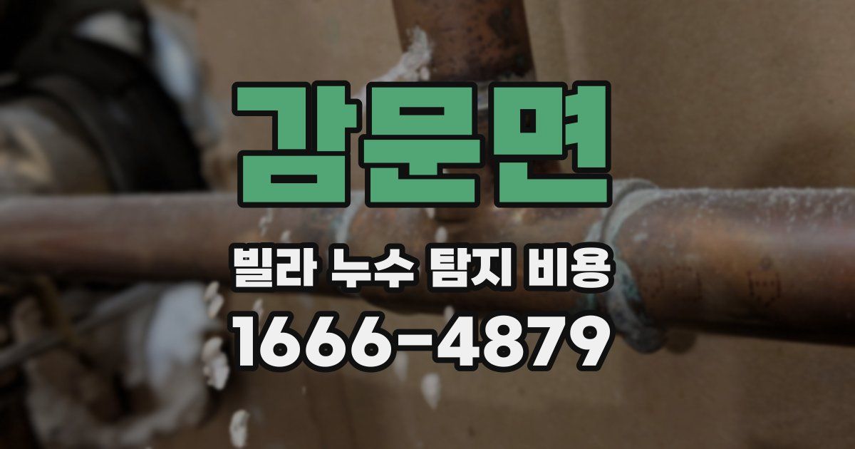 감문면 빌라 누수 탐지 비용