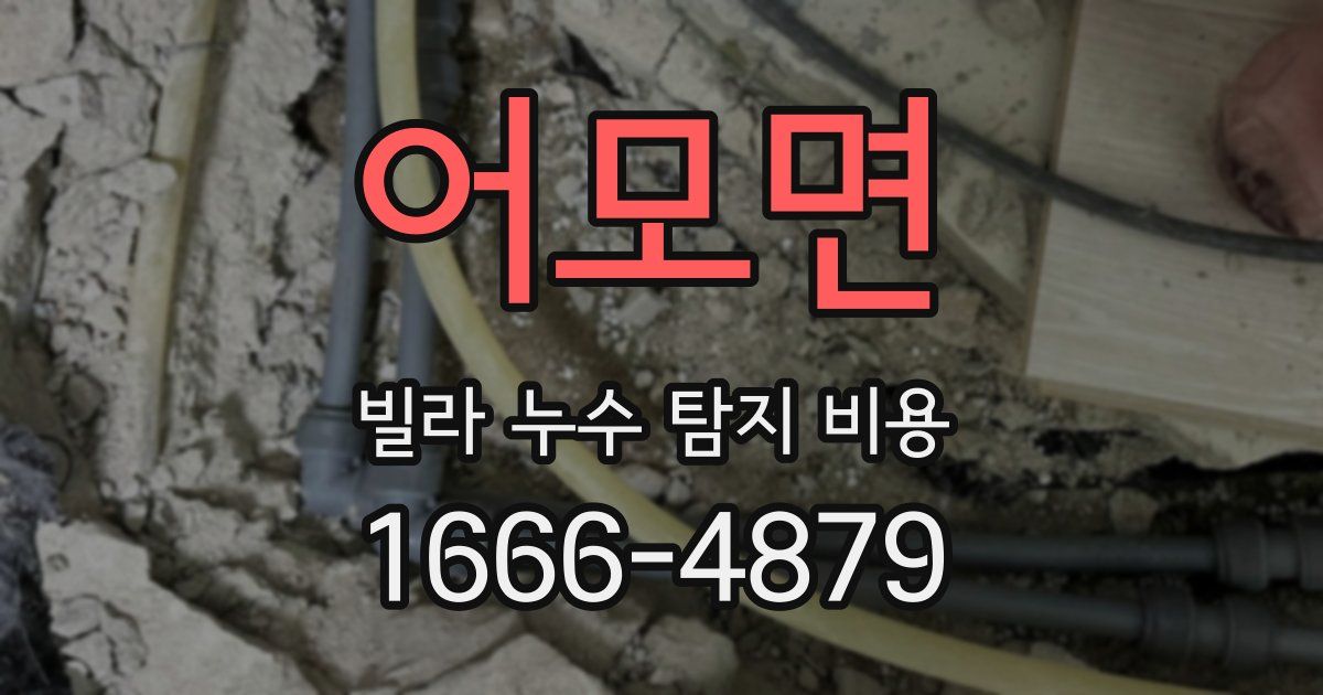 어모면 빌라 누수 탐지 비용