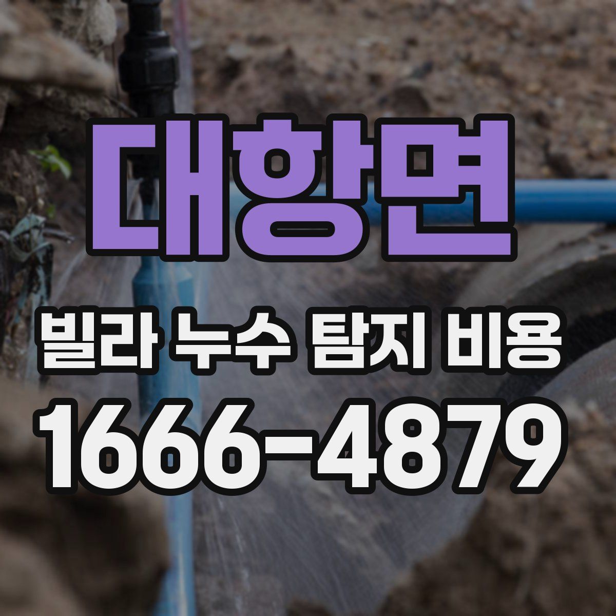 대항면 빌라 누수 탐지 비용
