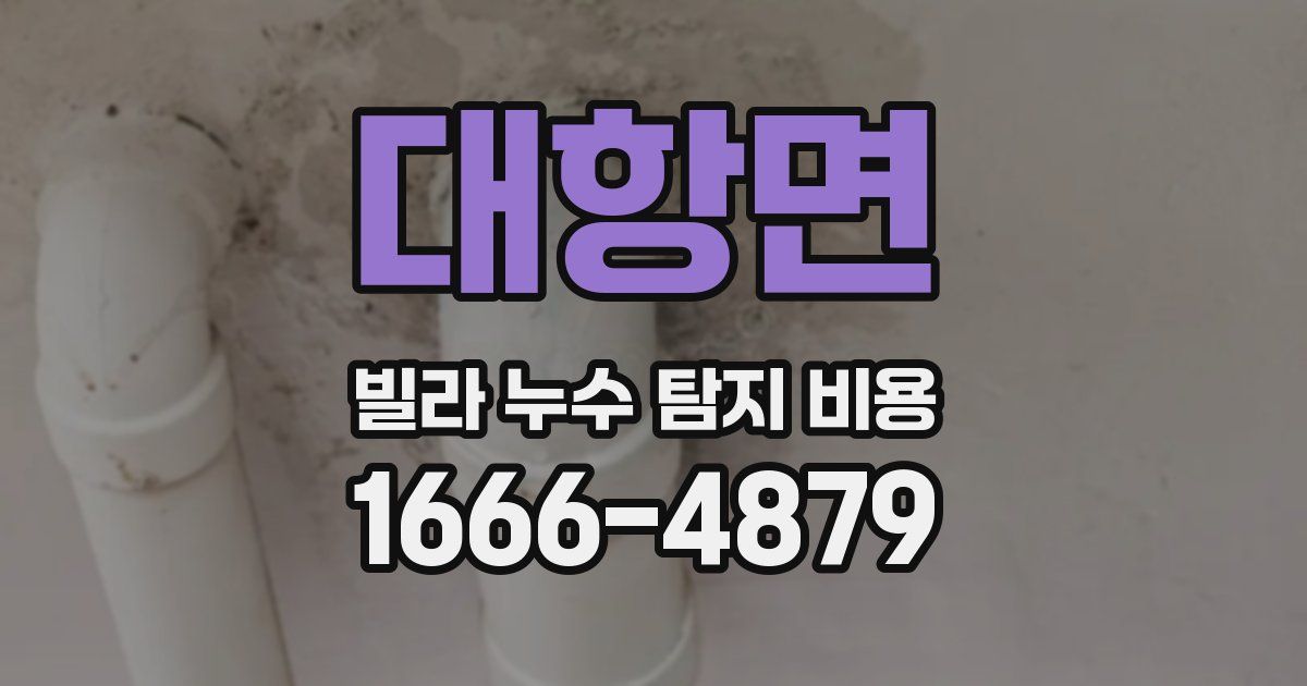 대항면 빌라 누수 탐지 비용
