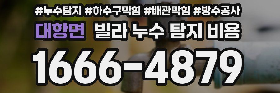 대항면 빌라 누수 탐지 비용