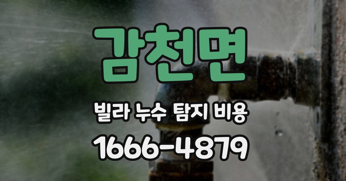 감천면 빌라 누수 탐지 비용