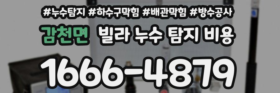 감천면 빌라 누수 탐지 비용