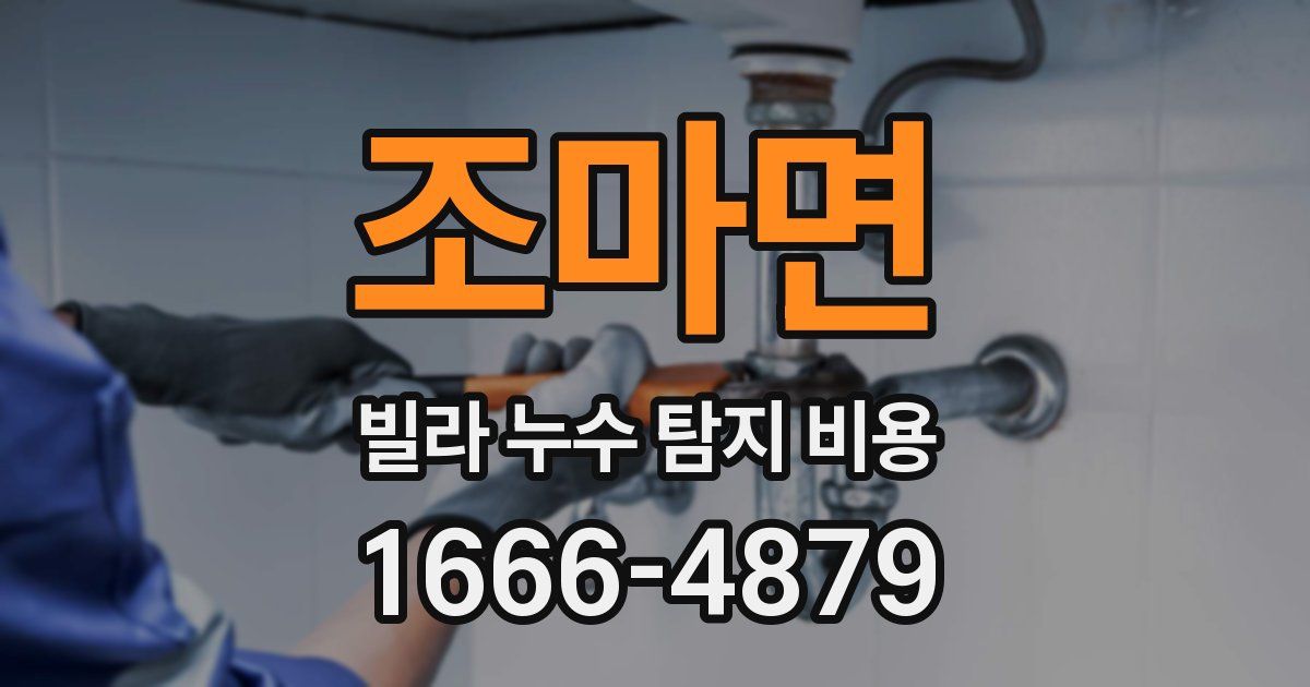 조마면 빌라 누수 탐지 비용