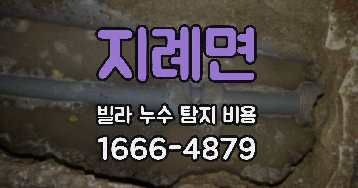지례면 빌라 누수 탐지 비용