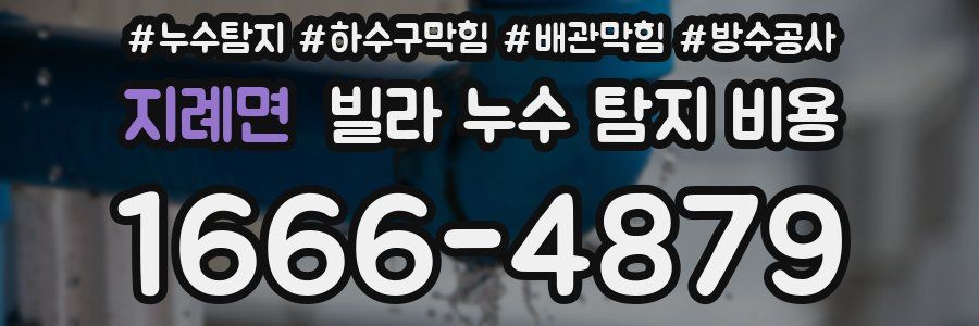 지례면 빌라 누수 탐지 비용