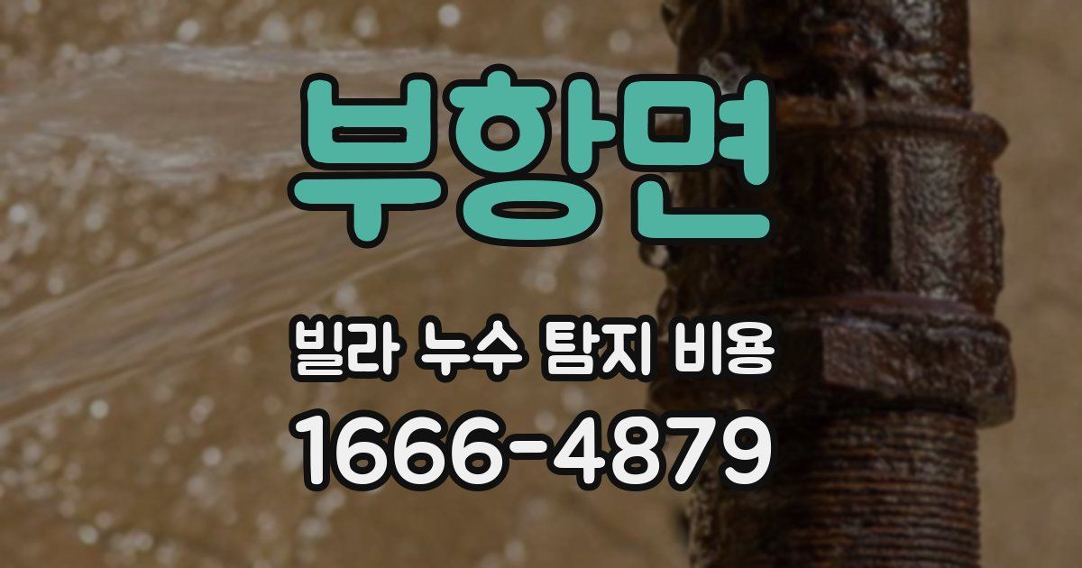 부항면 빌라 누수 탐지 비용