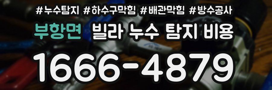 부항면 빌라 누수 탐지 비용