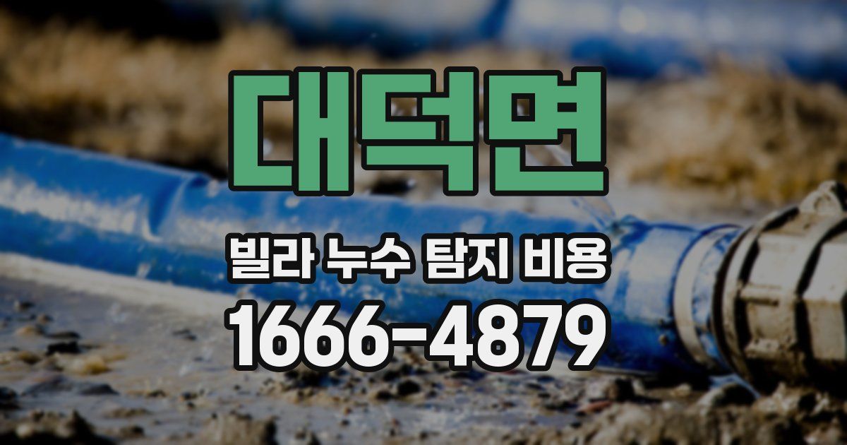 대덕면 빌라 누수 탐지 비용