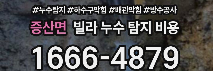 증산면 빌라 누수 탐지 비용