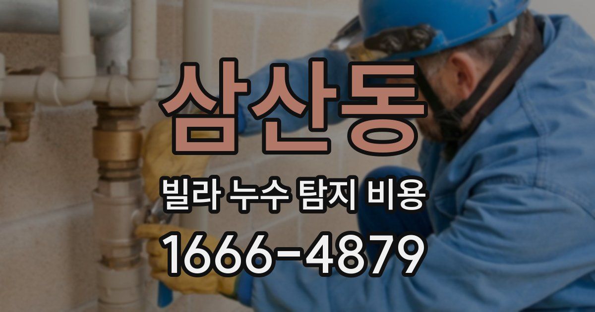삼산동 빌라 누수 탐지 비용