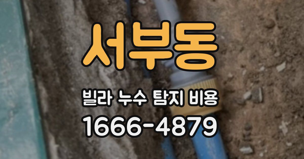 서부동 빌라 누수 탐지 비용