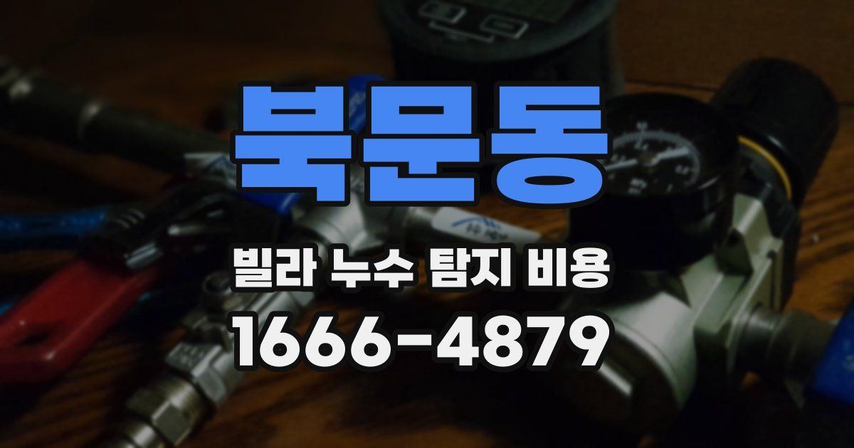 북문동 빌라 누수 탐지 비용