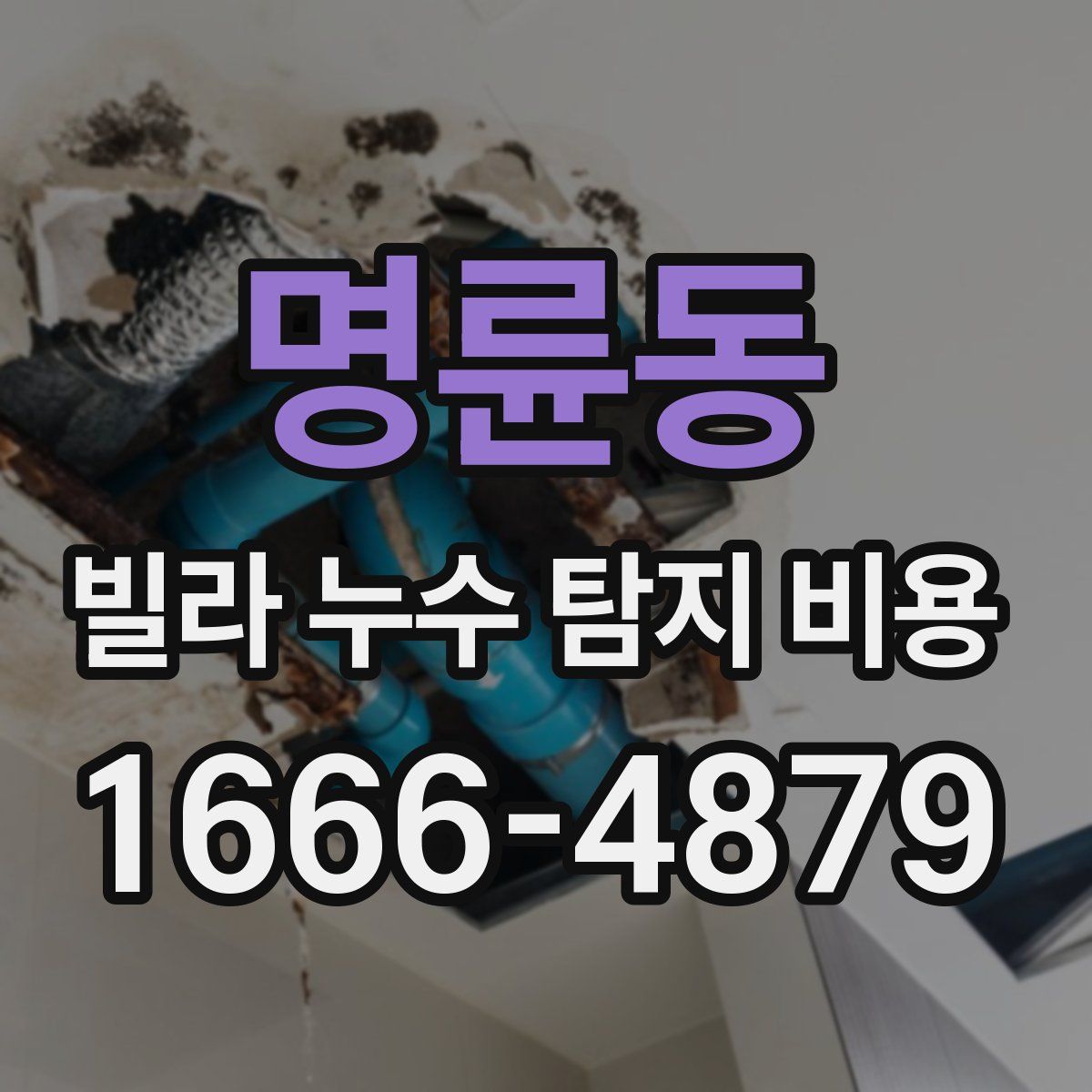 명륜동 빌라 누수 탐지 비용