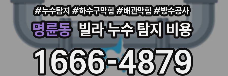 명륜동 빌라 누수 탐지 비용