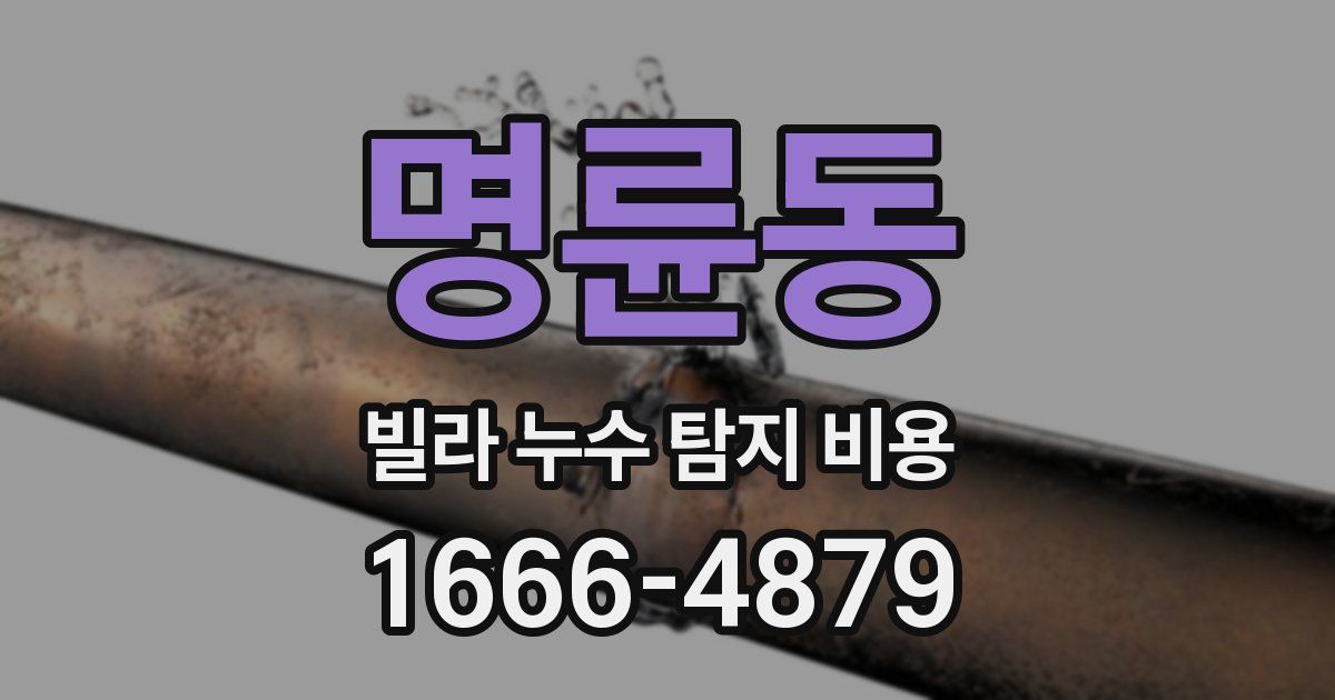 명륜동 빌라 누수 탐지 비용