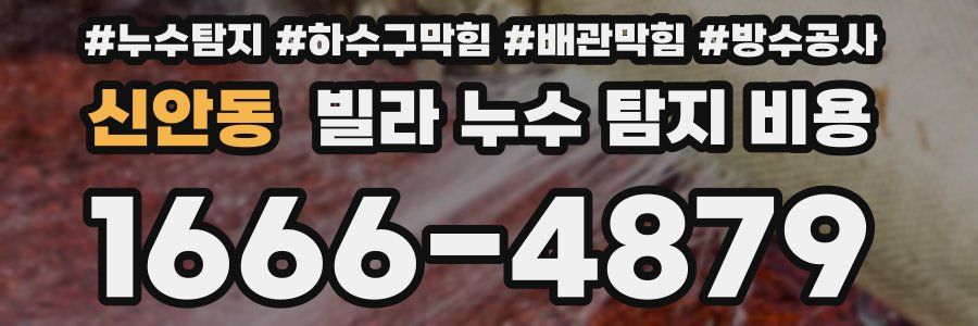 신안동 빌라 누수 탐지 비용