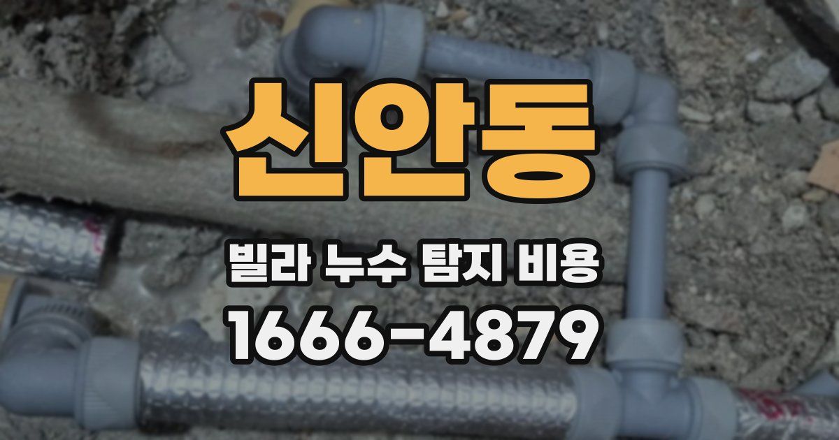 신안동 빌라 누수 탐지 비용