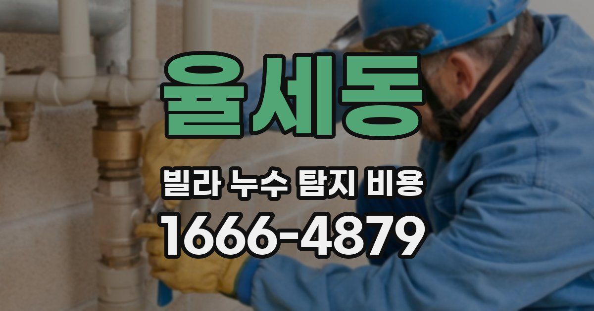 율세동 빌라 누수 탐지 비용