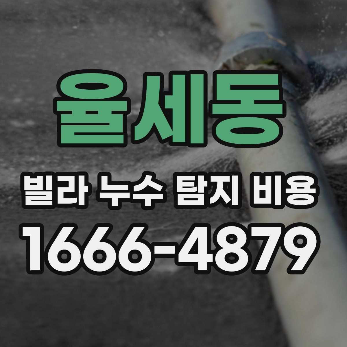 율세동 빌라 누수 탐지 비용