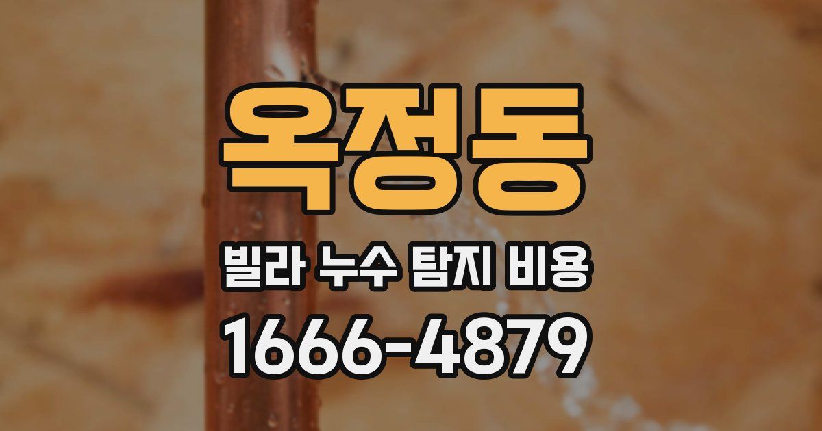 옥정동 빌라 누수 탐지 비용