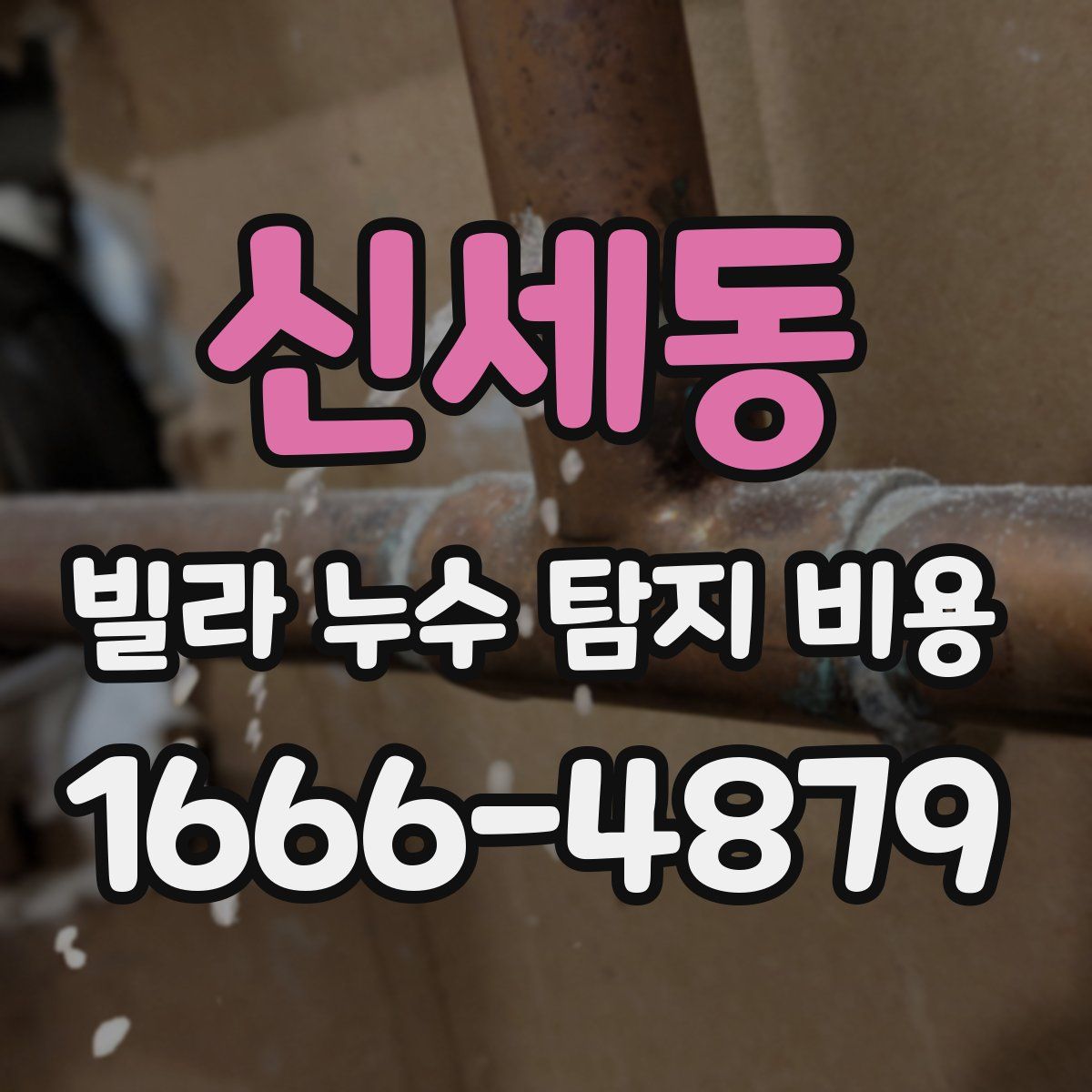 신세동 빌라 누수 탐지 비용