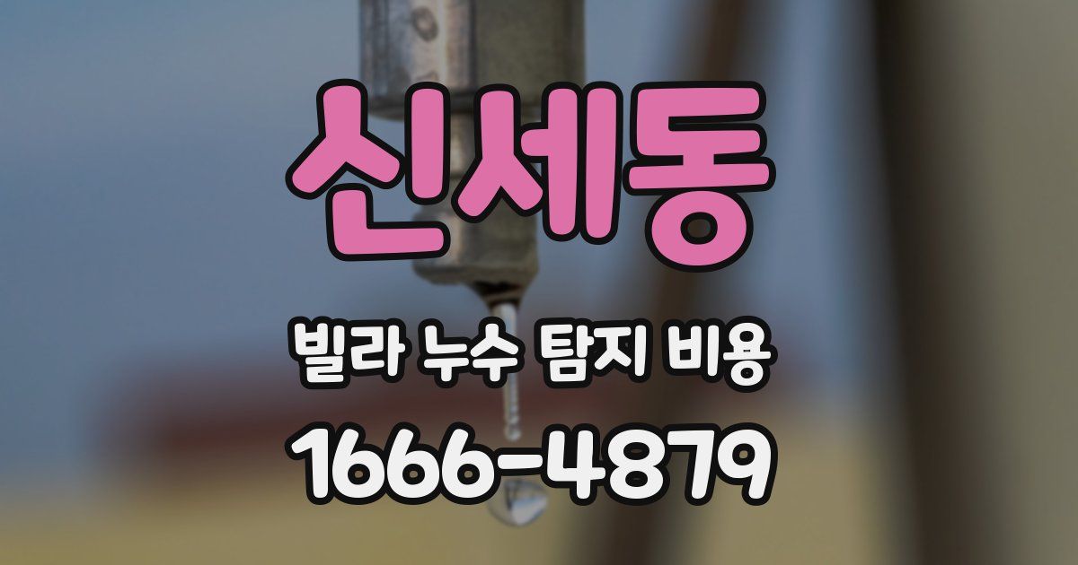 신세동 빌라 누수 탐지 비용