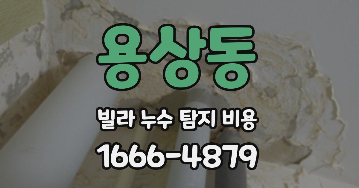 용상동 빌라 누수 탐지 비용
