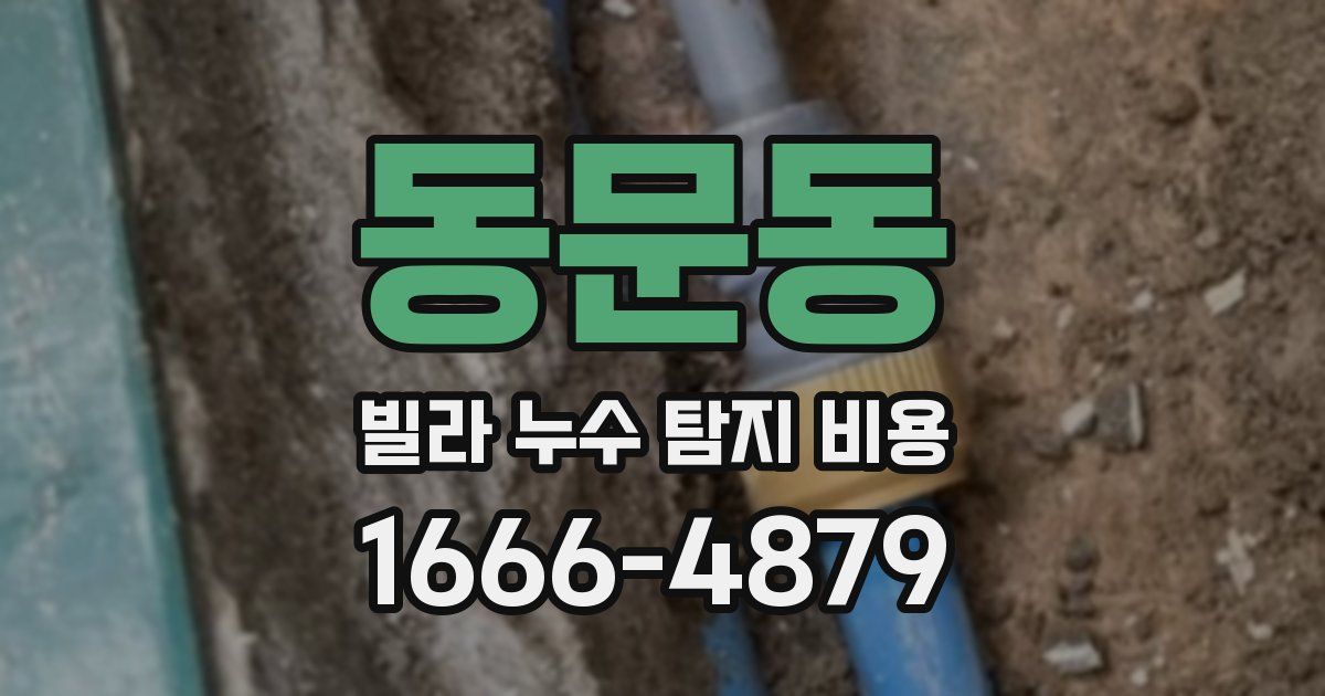 동문동 빌라 누수 탐지 비용