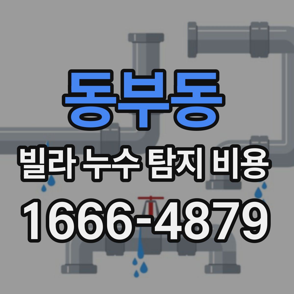동부동 빌라 누수 탐지 비용