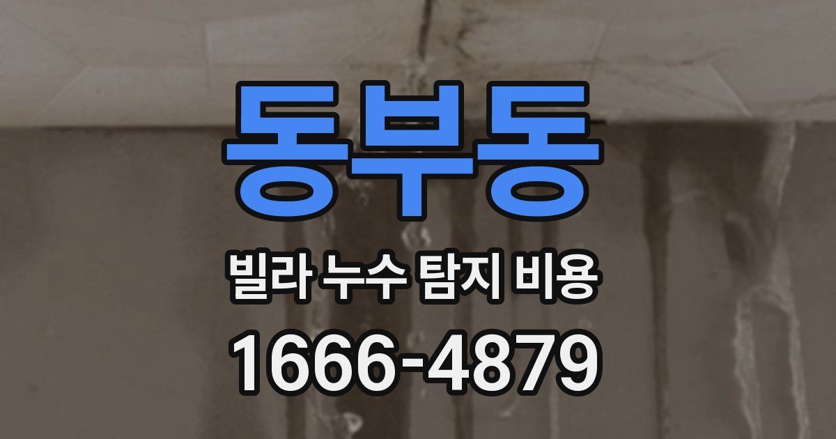 동부동 빌라 누수 탐지 비용